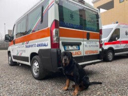 Ambulanza veterinaria Milano e Varese