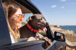 Estate e animali domestici: come viaggiare in auto in sicurezza e prevenire colpi di calore