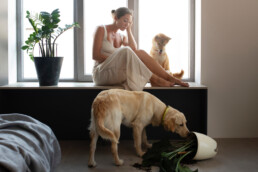 Animali domestici e pericoli in casa: come prevenire intossicazioni, traumi e incidenti comuni