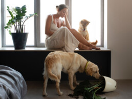 Animali domestici e pericoli in casa: come prevenire intossicazioni, traumi e incidenti comuni